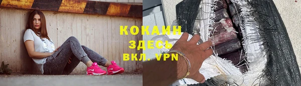 мдпв Ладушкин