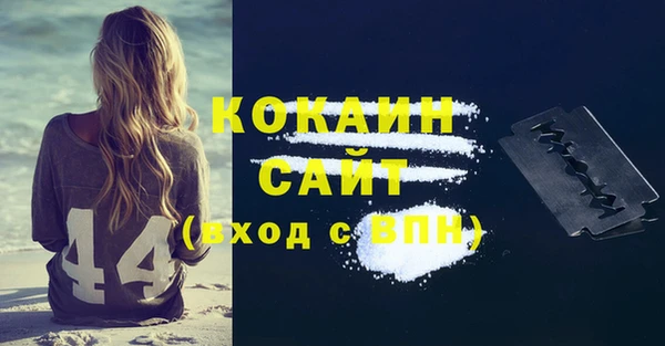 мдпв Ладушкин