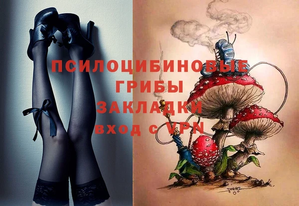 мдпв Ладушкин