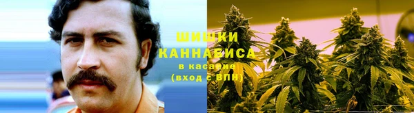 мдпв Ладушкин