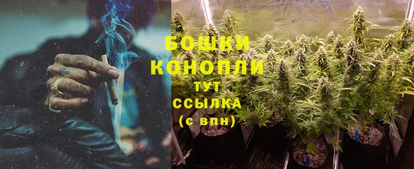 ПСИЛОЦИБИНОВЫЕ ГРИБЫ Кукмор