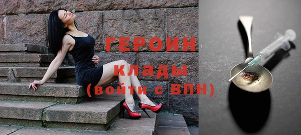 ГАЛЛЮЦИНОГЕННЫЕ ГРИБЫ Лагань