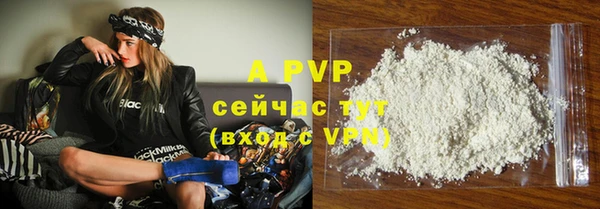 твердый Бердск