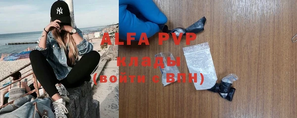 ГАЛЛЮЦИНОГЕННЫЕ ГРИБЫ Лагань