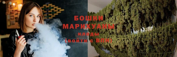 мдпв Ладушкин