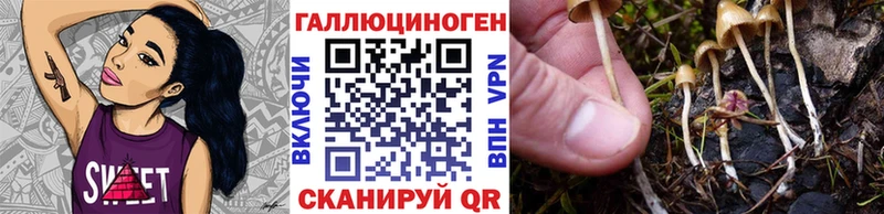 Галлюциногенные грибы Cubensis  Лермонтов 